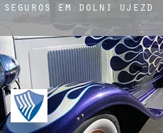 Seguros em  Dolní Újezd