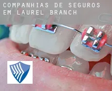 Companhias de seguros em  Laurel Branch