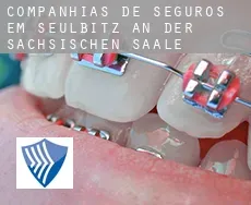 Companhias de seguros em  Seulbitz an der Sächsischen Saale