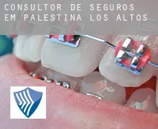 Consultor de seguros em  Palestina de los Altos