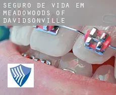 Seguro de vida em  Meadowoods of Davidsonville