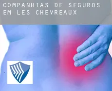 Companhias de seguros em  Les Chevreaux