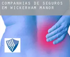 Companhias de seguros em Wickerham Manor