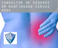 Consultor de seguros em  Huntingdon (census area)