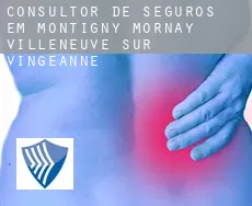 Consultor de seguros em Montigny-Mornay-Villeneuve-sur-Vingeanne