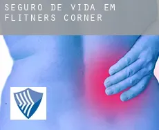 Seguro de vida em  Flitners Corner