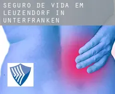 Seguro de vida em  Leuzendorf in Unterfranken
