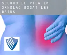 Seguro de vida em  Ornolac-Ussat-les-Bains