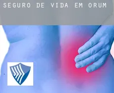 Seguro de vida em  Orum