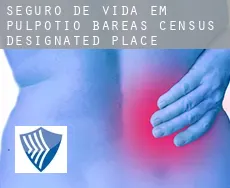 Seguro de vida em  Pulpotio Bareas