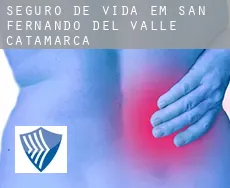 Seguro de vida em  San Fernando del Valle de Catamarca