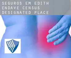 Seguros em  Edith Endave