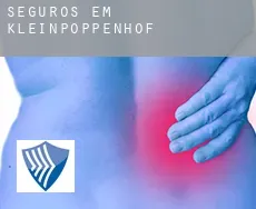 Seguros em  Kleinpoppenhof