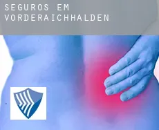 Seguros em  Vorderaichhalden
