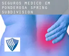 Seguros médico em  Ponderosa Spring Subdivision
