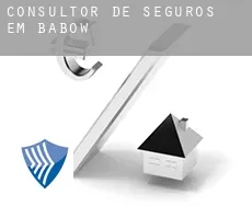 Consultor de seguros em  Babow