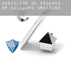 Consultor de seguros em  Politischer Bezirk Salzburg Umgebung