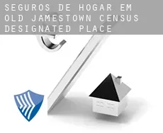 Seguros de hogar em  Old Jamestown