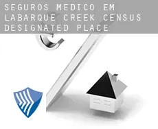 Seguros médico em  LaBarque Creek
