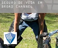 Seguro de vida em  Broad Channel