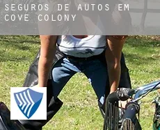 Seguros de autos em  Cove Colony