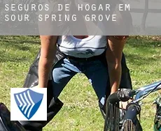 Seguros de hogar em  Sour Spring Grove