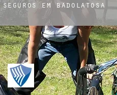 Seguros em  Badolatosa