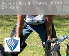 Seguros em Grass Pond Colony