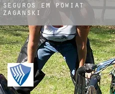 Seguros em  Powiat żagański
