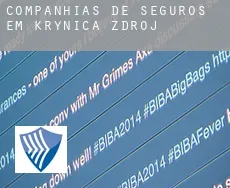 Companhias de seguros em  Krynica-Zdrój