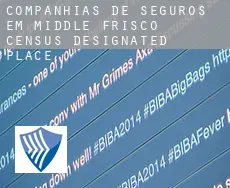 Companhias de seguros em  Middle Frisco