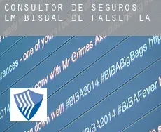 Consultor de seguros em  Bisbal de Falset (La)