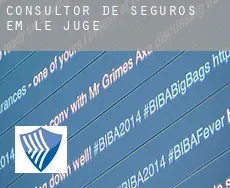 Consultor de seguros em  Le Juge