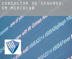 Consultor de seguros em  Meridian