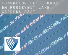 Consultor de seguros em  Roosevelt Lake Gardens East