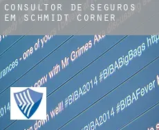 Consultor de seguros em  Schmidt Corner