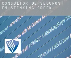 Consultor de seguros em  Stinking Creek