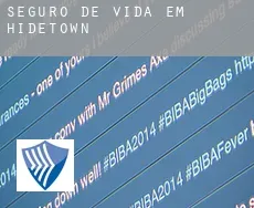 Seguro de vida em  Hidetown