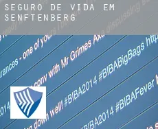 Seguro de vida em  Senftenberg