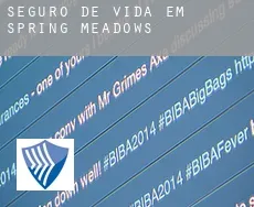 Seguro de vida em  Spring Meadows