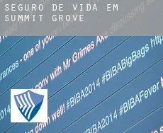 Seguro de vida em  Summit Grove