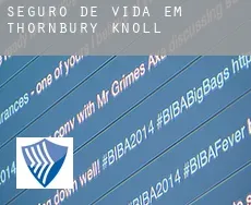 Seguro de vida em  Thornbury Knoll