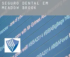 Seguro dental em  Meadow Brook