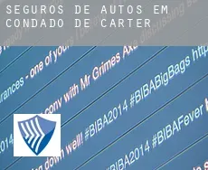 Seguros de autos em  Condado de Carter