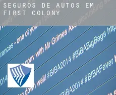 Seguros de autos em  First Colony