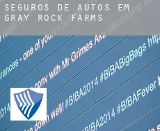 Seguros de autos em  Gray Rock Farms