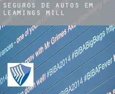 Seguros de autos em  Leamings Mill