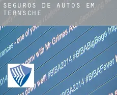 Seguros de autos em  Ternsche