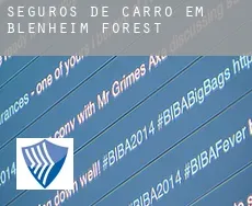 Seguros de carro em  Blenheim Forest