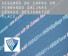 Seguros de carro em Fernando Salinas